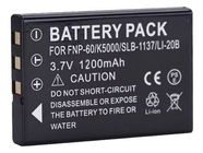 PANASONIC SV-AV100EG-S Battery